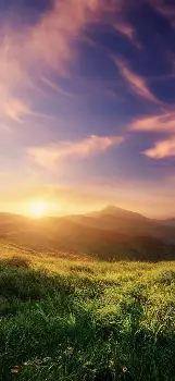 米兰体育官网-关于离谱！今晚回应争议阿扎伦卡在SKT比赛中惊险取胜，西汉姆今夜主帅复盘的信息